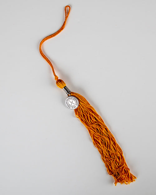 DOCTOR OF NURSING PRACTICE TASSEL (APRICOT)