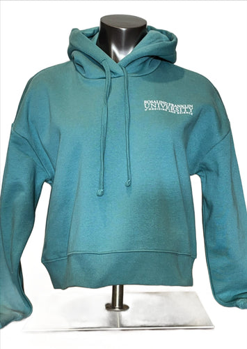 WOMENS DISTRICT V.I.T. FLEECE HOODIE (multiple colors)